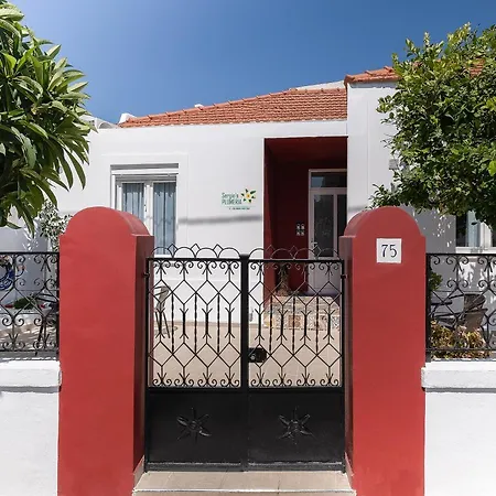 Sergio's Plumeria Apartment